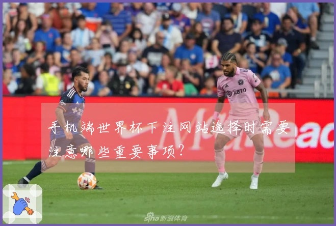 手机端世界杯下注网站选择时需要注意哪些重要事项？