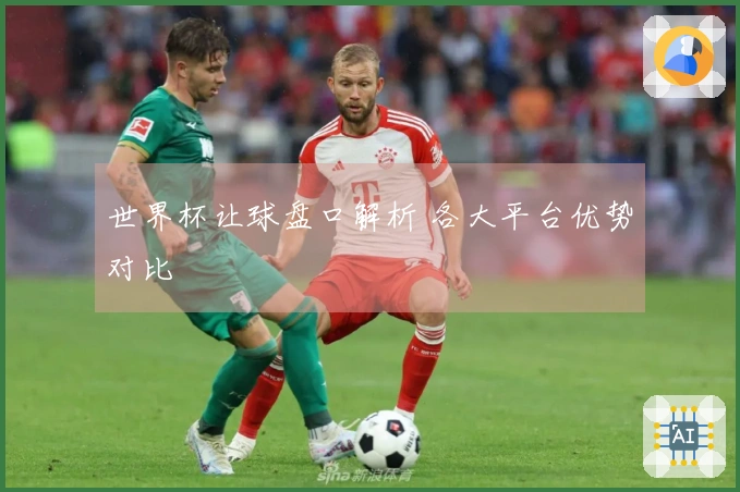 世界杯让球盘口解析 各大平台优势对比
